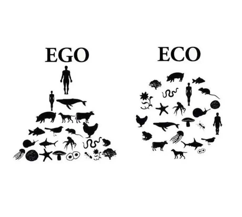 Ego versus eco