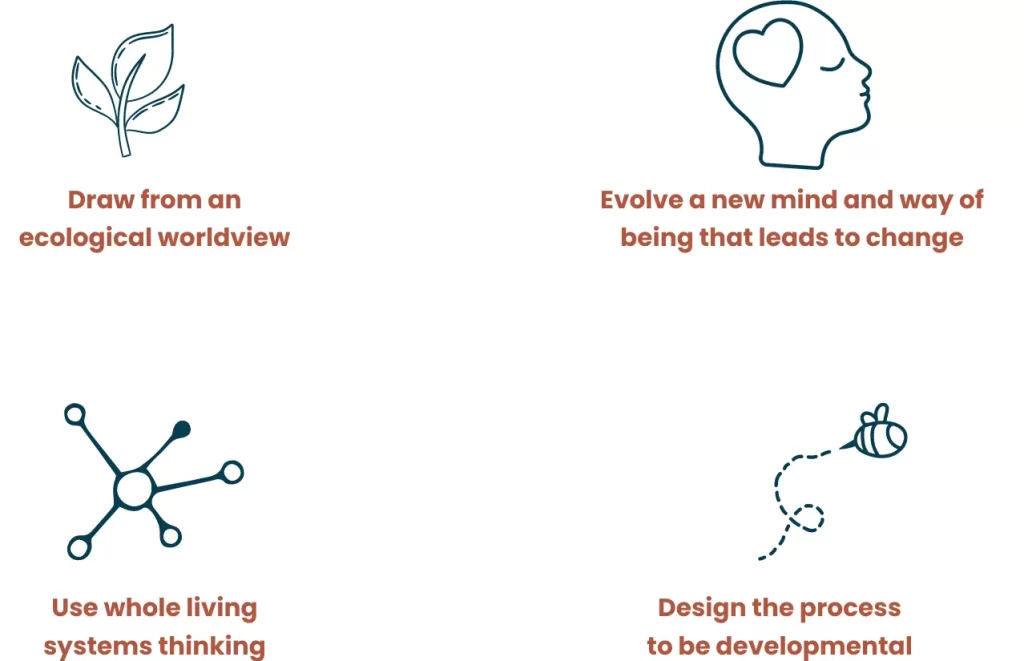 Four principles of regenerative thinking that support the move beyond sustainability and towards regeneration